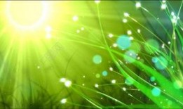 娱乐吃瓜视频背景素材,吃瓜视频背后的精彩故事