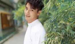 吃瓜娱乐圈cp粉,揭秘明星情侣背后的故事