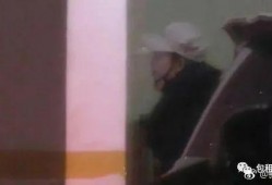 猪头吃瓜娱乐圈,娱乐圈幕后风云揭秘