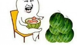 娱乐吃瓜八瓜,吃瓜八瓜，一网打尽明星幕后故事