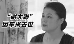 娱乐圈的吃瓜影帝免费,影帝免费吃瓜，揭秘幕后真相