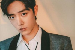 娱乐吃瓜菌肖战粉丝