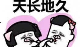 闺蜜娱乐圈吃瓜小说