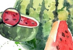 2020年吃瓜汇总,盘点娱乐圈、社会热点中的那些“瓜”