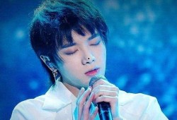 娱乐吃瓜君华晨宇汪小敏,音乐之旅中的甜蜜碰撞