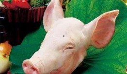 猪头吃瓜娱乐圈,娱乐圈幕后风云揭秘